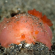 DSC 3602