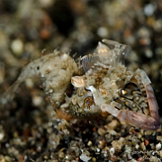 DSC 3708